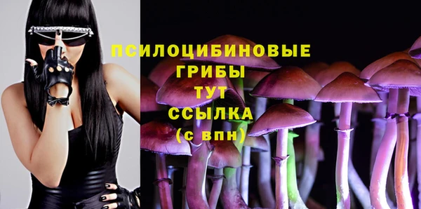МДПВ Анива